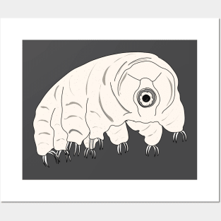 Biodiversity : the tardigrade Posters and Art